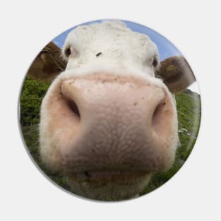 Funny Cow Big Nose Humor Gift Pin