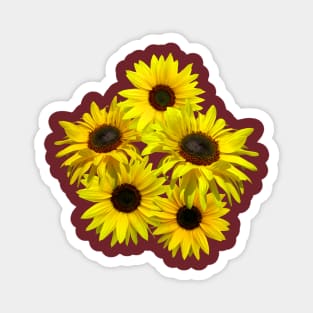 bunch of flowers, sunflowers, sunflower, blooming Magnet