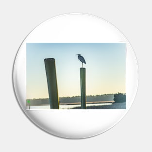 Great Blue Heron on a fishing dock Pin