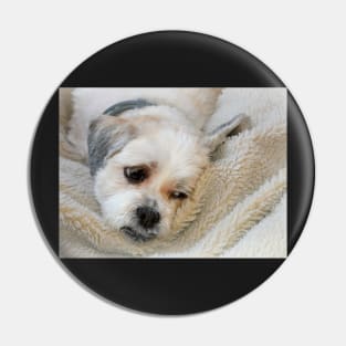 In Deep Dog Thoughts Pin