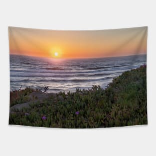 Sand Dunes and Plants during Sunset at the Beach Tapestry