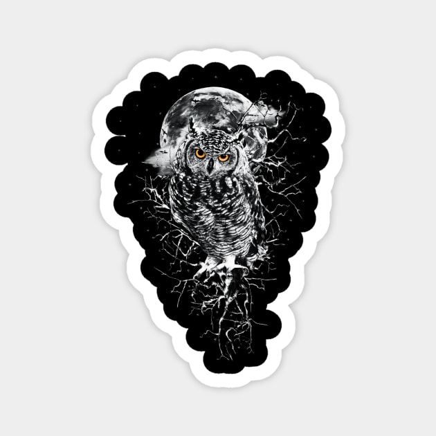 OWL BW Magnet by rizapeker