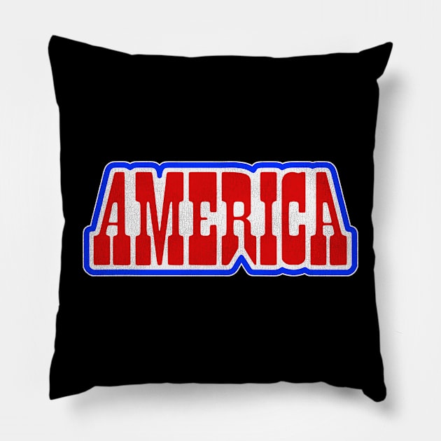 America Pillow by darklordpug