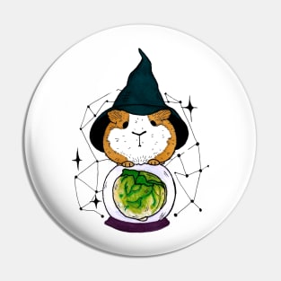 Wizard guinea pig Pin