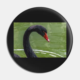 black swan Pin