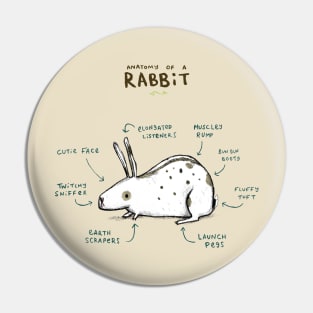 Anatomy of a Rabbit Pin