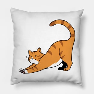 Orange Stripe w/ White Cat Stretch Pillow