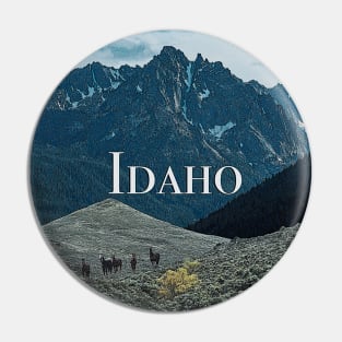 Idaho Poster Art Pin