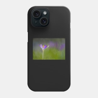 Purple Crocus with a Soft Background Phone Case