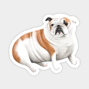 British Bulldog Magnet