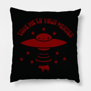 Abduction Pillow