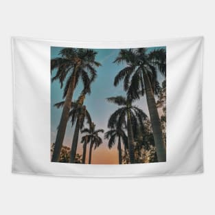 Blue Skies and Tropical Palm Tapestry