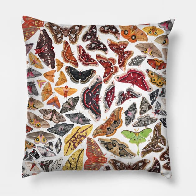 Saturniid Moths of North America Pattern Pillow by JadaFitch