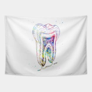 Human tooth structure Tapestry