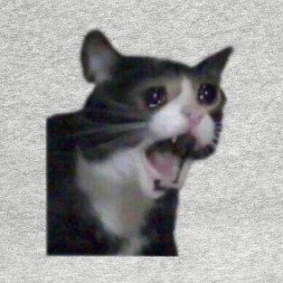 Cat Sad Cat Juuling