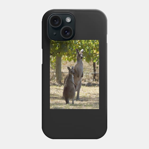 Two Roos at Magpie Springs by Avril Thomas Phone Case by MagpieSprings