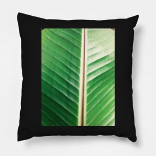 Banana leaf Pillow