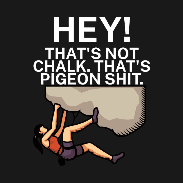 Hey Thats not chalk Thats pigeon shit by maxcode