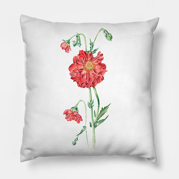 Gravilat Pillow by feafox92