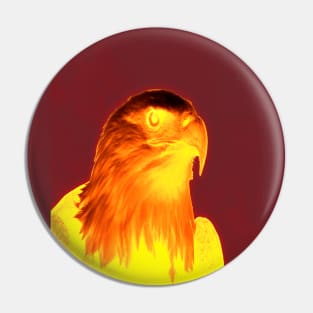 spirit flame eagle burn Pin