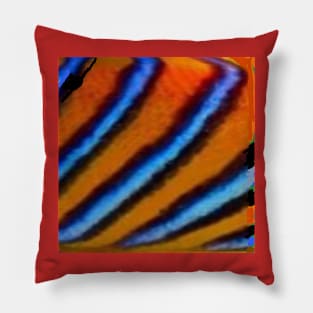 Colorful Natural Stripes Pattern Pillow