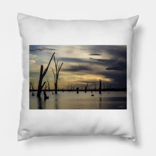 Lake Mulwala, Yarrawonga, Victoria, Australia. Pillow