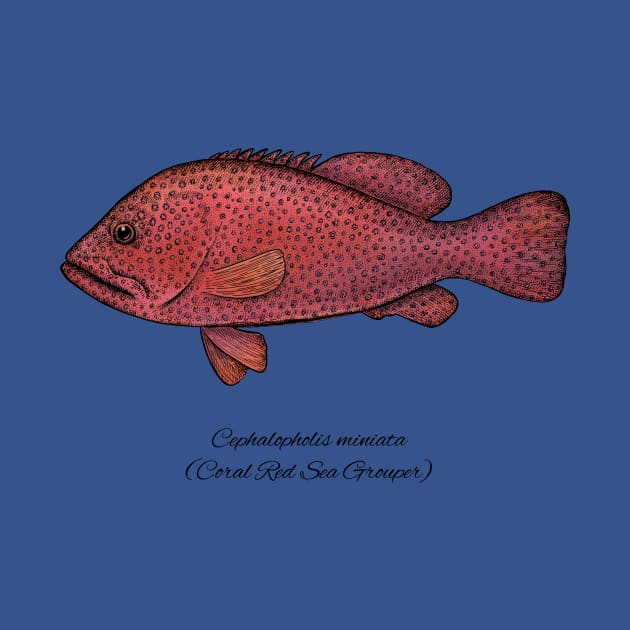 cephalopholis miniata by eugeniahauss