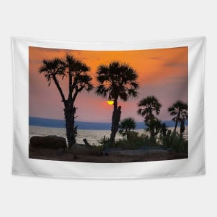 Sunset at the shore of salt lake-Nature Tapestry