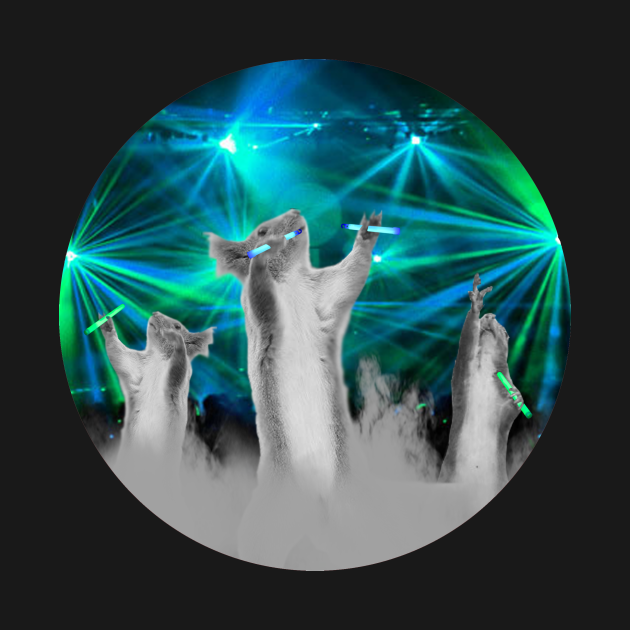 Squirrel Rave 1 Rave TShirt TeePublic