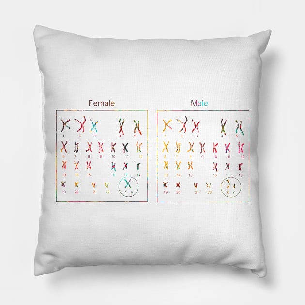 Female and male Chromosome idiogram Pillow by erzebeth