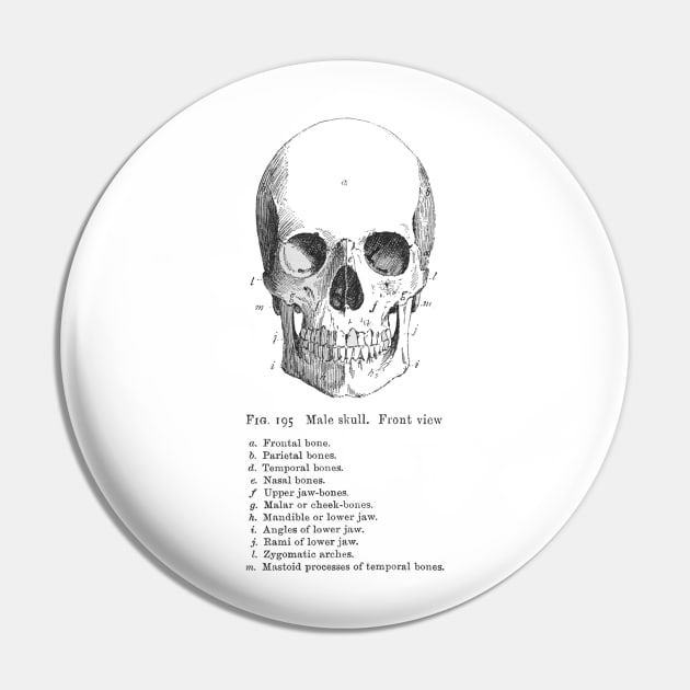 Labeled Skull Pin by 7Hancocks