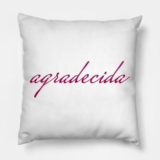 Pink Agradecida (Grateful in Spanish) Pillow