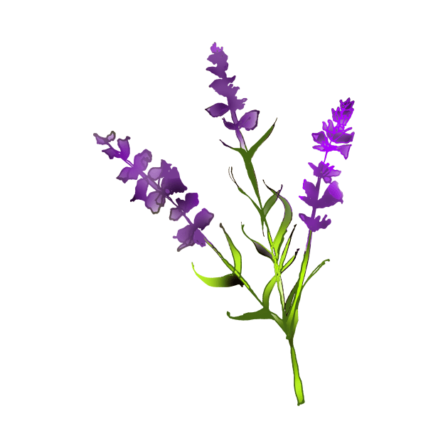 Beautiful Lavender flower Lavender lover botanist wildflower by Artstastic