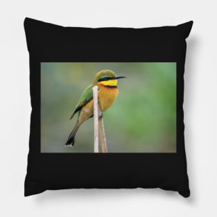 Little Bee-eater, Zambia Pillow