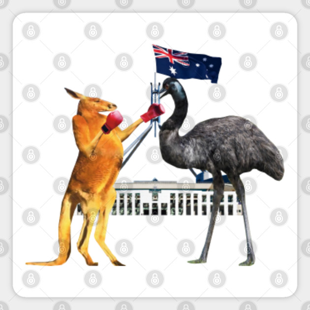 Australia Coat Of Arms Kangaroo V Emu Coloured Outline Coat Of Arms Australia Magnet Teepublic