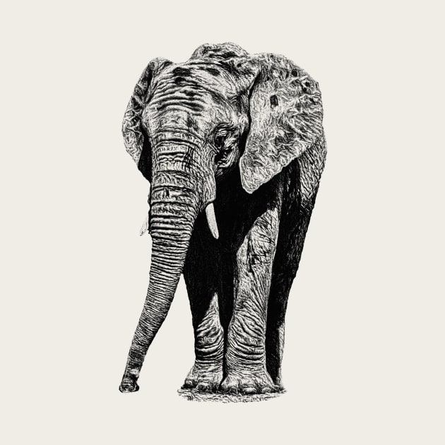 Elephant by Guardi