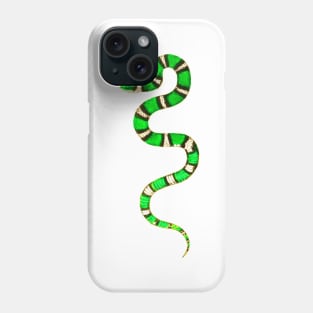 serpent,cobra,reptile,viper,venom,lizard,rattlesnake,king cobra Phone Case