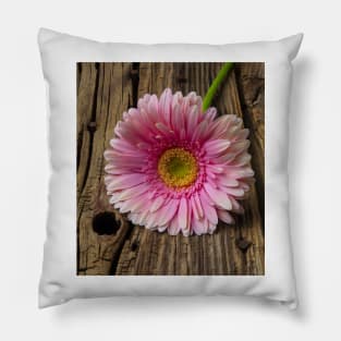 Pink Daisy On Old Boards Pillow