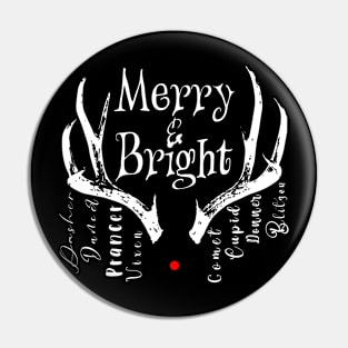 Merry and Bright in Light Font Pin