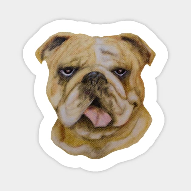 Bulldog in Pastels Magnet by johnwebbstock