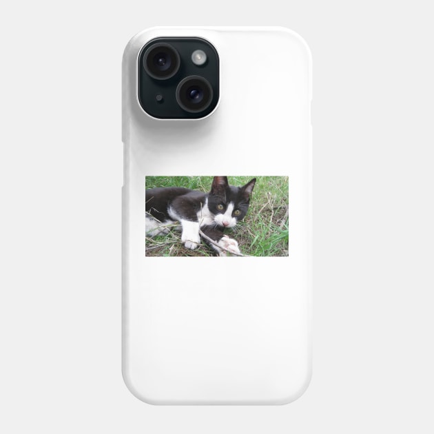 Playful Cat Phone Case by redneckpoet