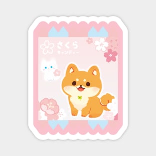 shiba sakura japan spring kawaii pink flower cherry blossoms candy Magnet