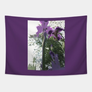 Giant Iris Stalks, photography and digital Tapestry