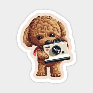 Poodle Dog taking picture with camera Magnet