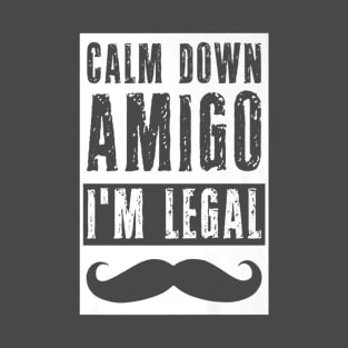 Im Legal Immigrant Funny Patriot Calm Down Us Pride T-Shirt