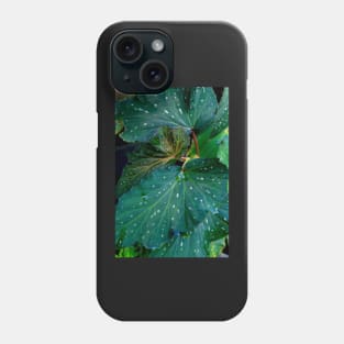 ornamental plants Phone Case