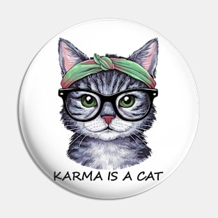 karma is a cat / cute cat Pin
