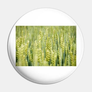 Common Wheat Pin
