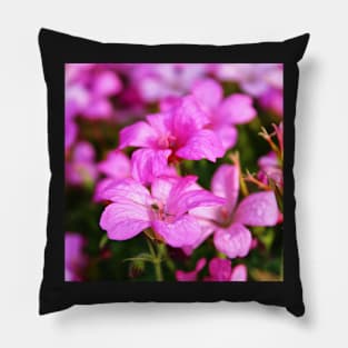 Pink Azaleas Pillow