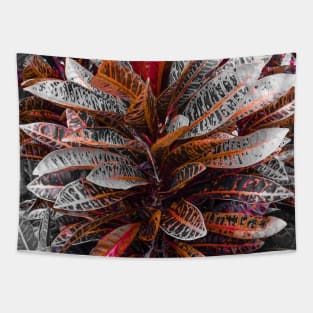 Carmine Crotons Tapestry